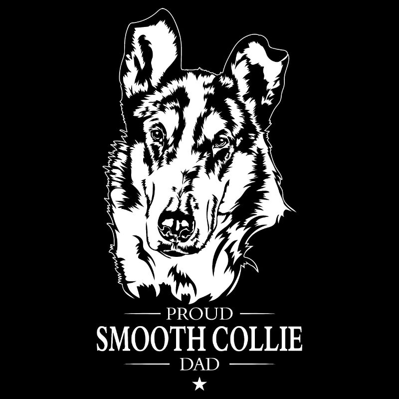 Smooth Collie Kurzhaar Dad Hunde Hund Wilsigns