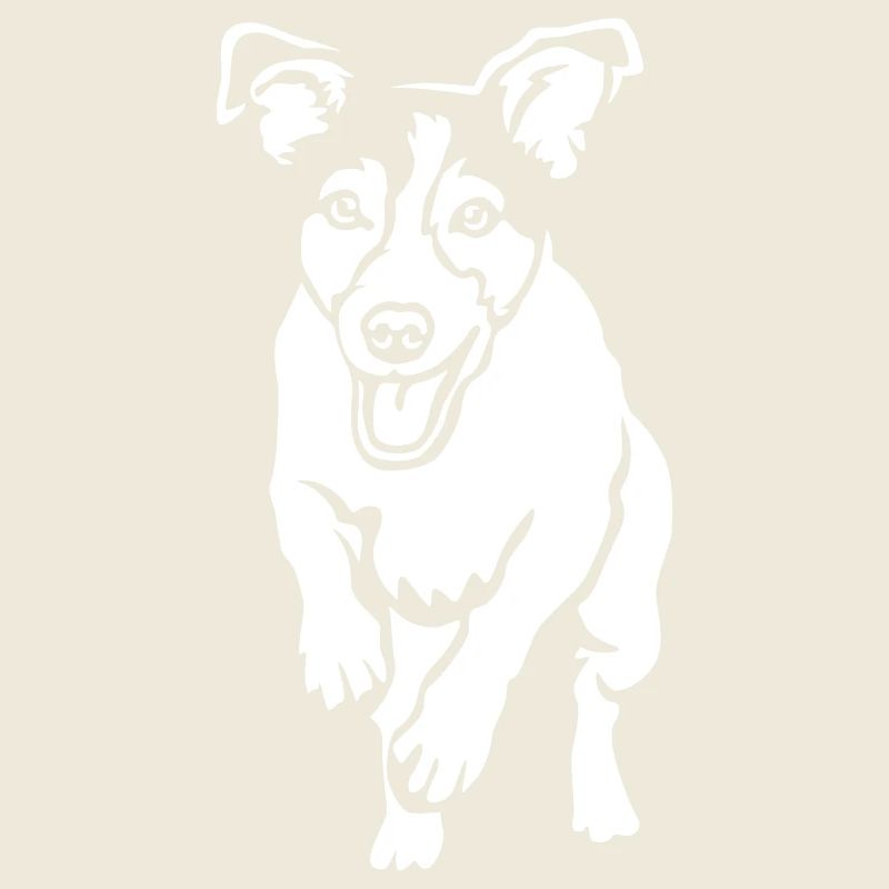 Jack Russell Terrier « Black Edition »