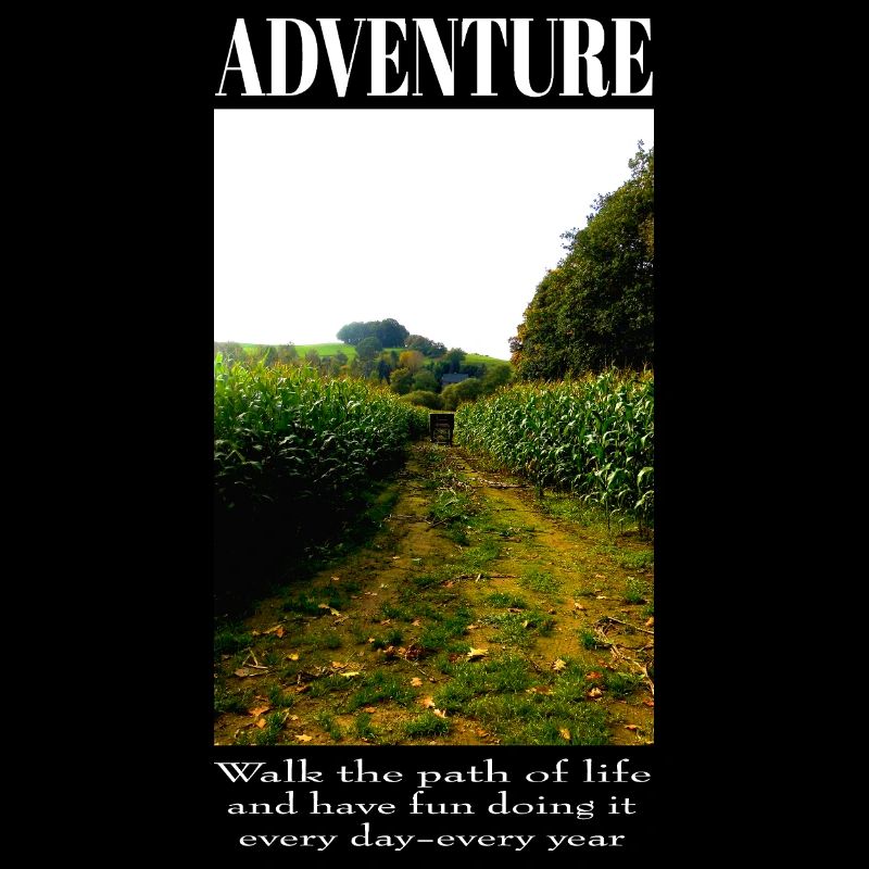 Adventure Field Path Cornfield Nature