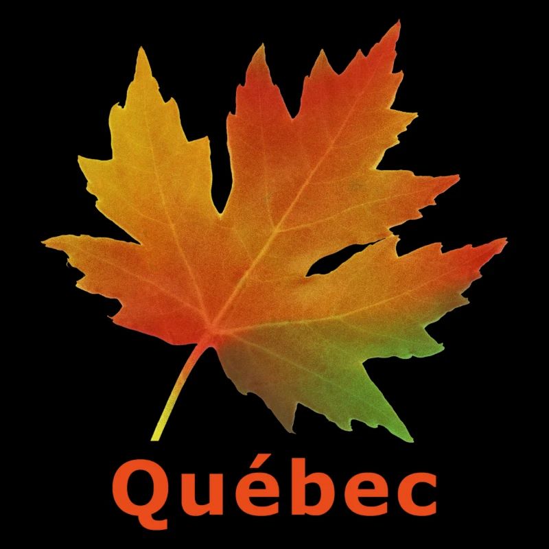 Québec feuille érable automne