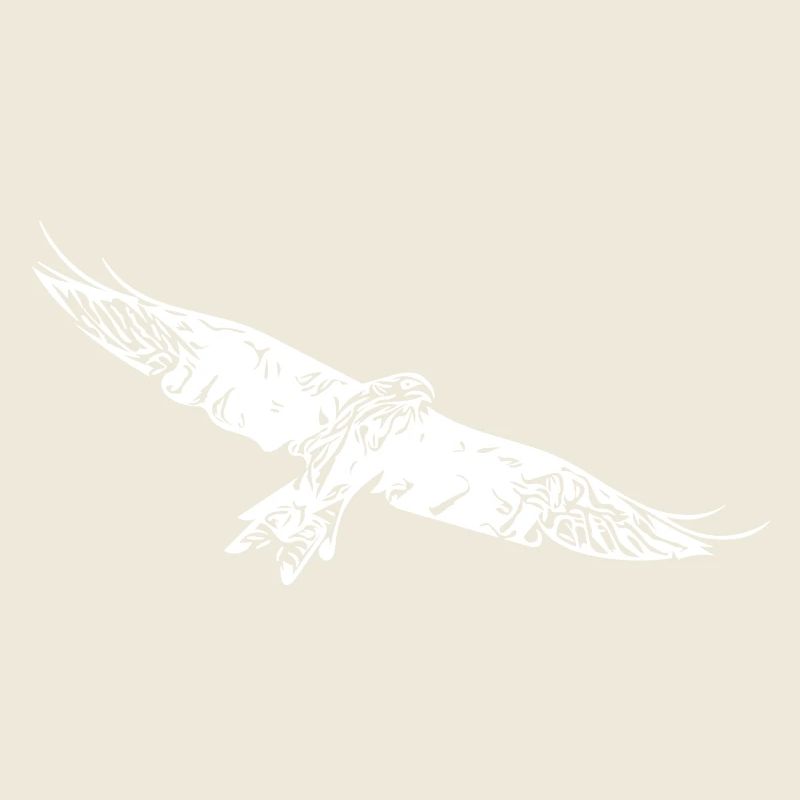 Greifvogel auf breiten Schwingen