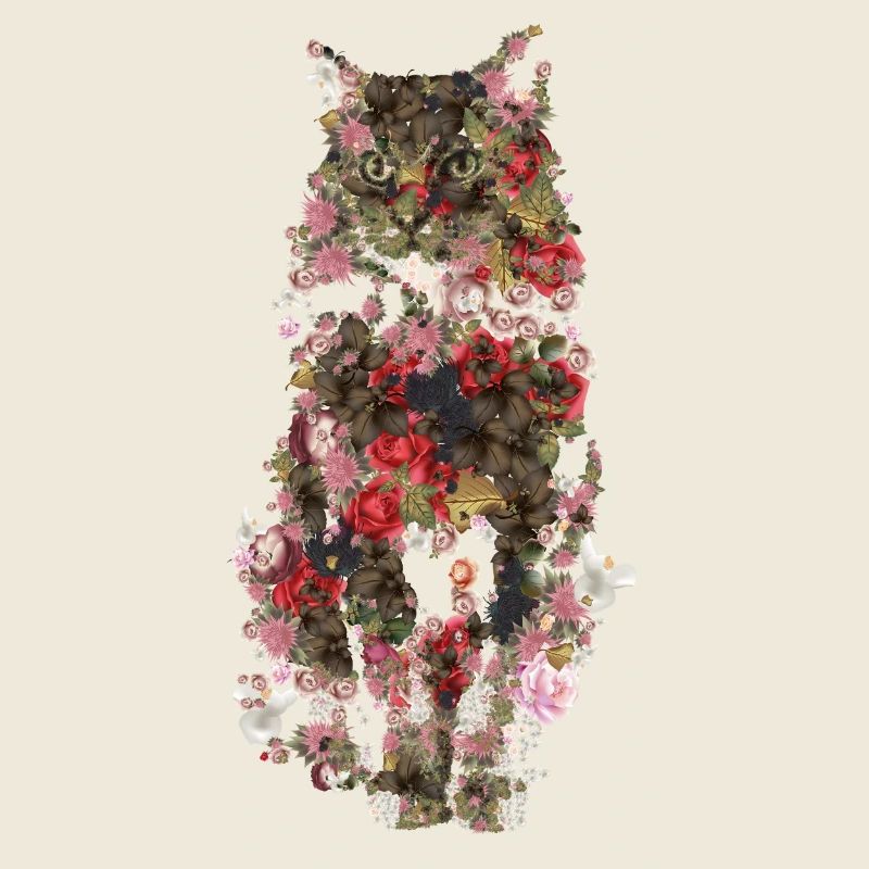 Kitty Vintage Kätzchen