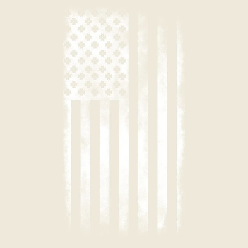 Irish American Saint Patrick's Day Flag Washed