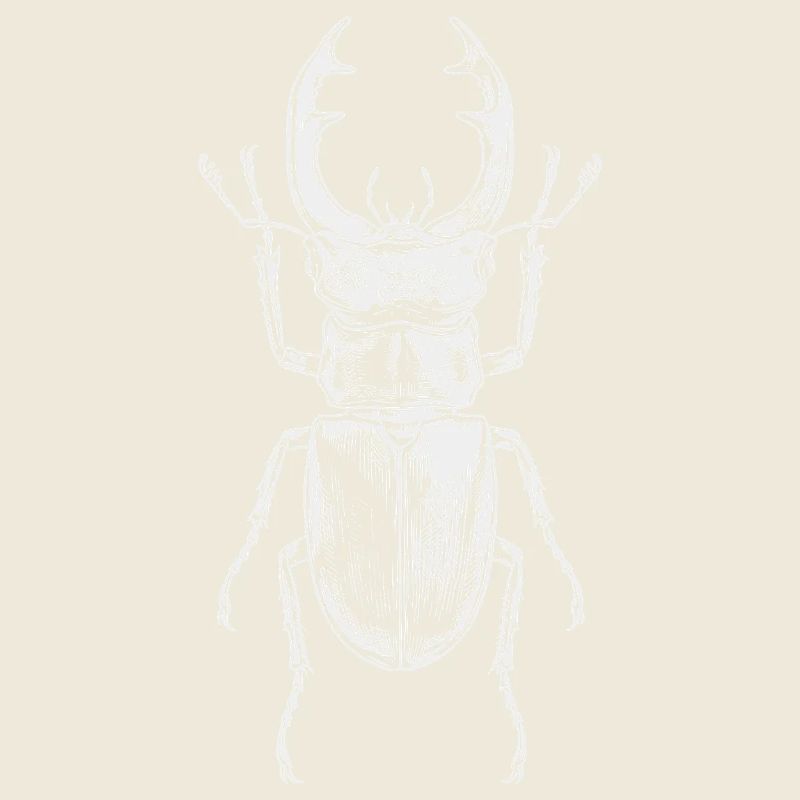 Big Insect-Design