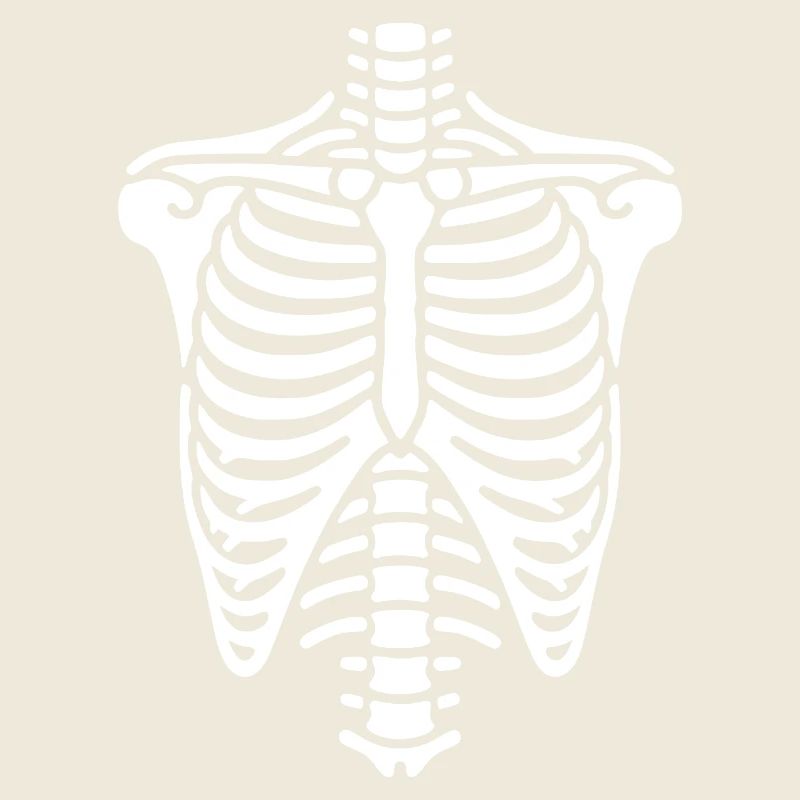 Cage thoracique, squelette, thorax et côtes, os
