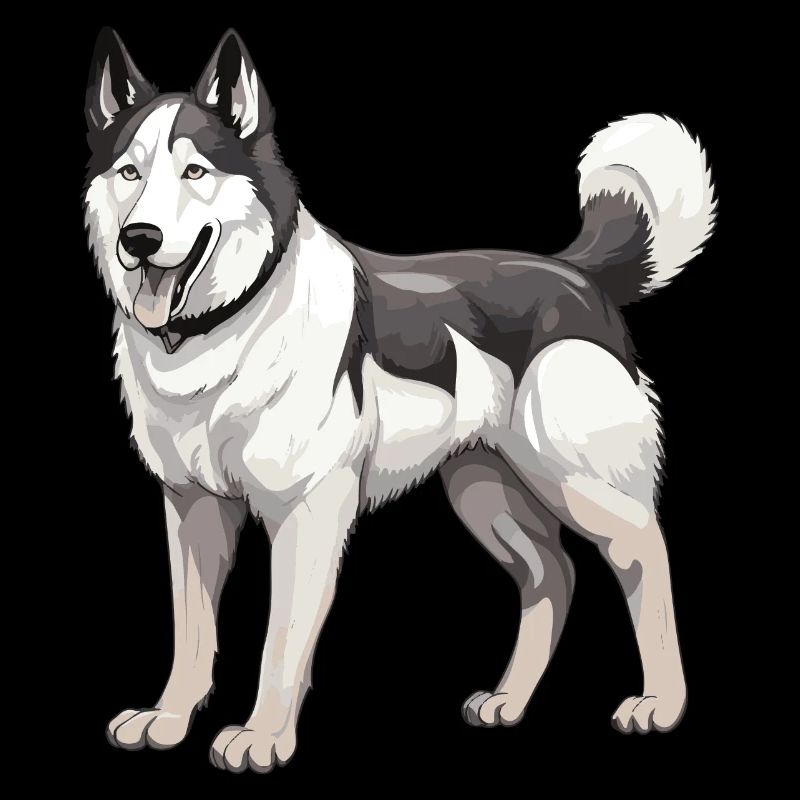 Husky Hund