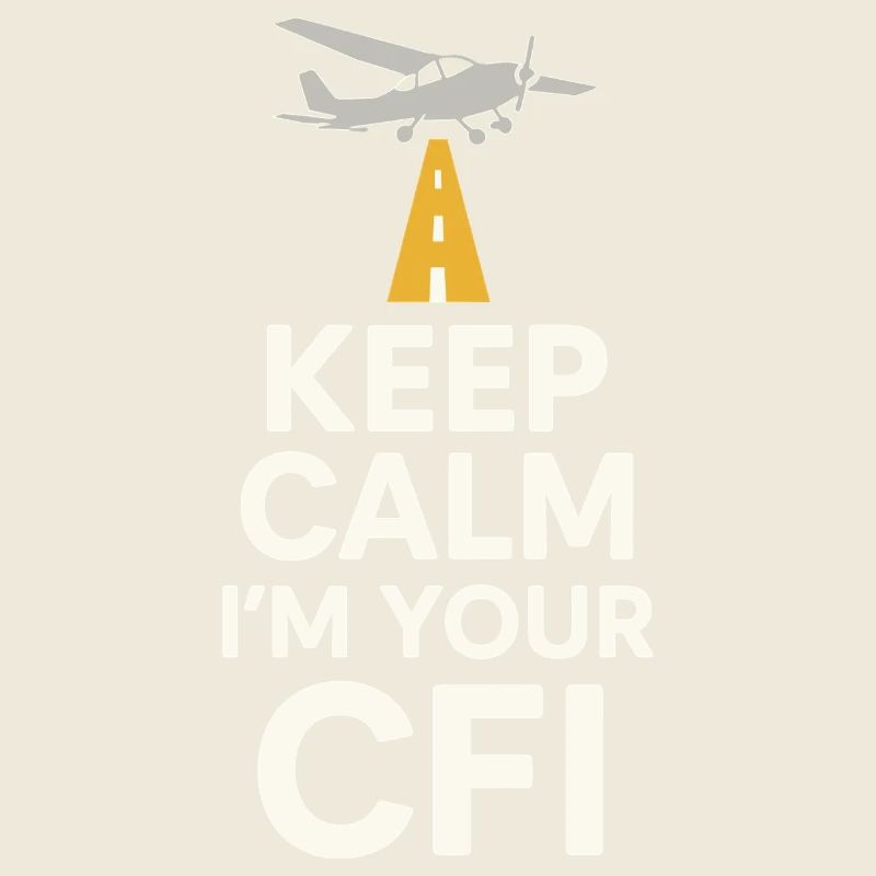 Flight Instructor Cfi Pilot Aviation Instructor