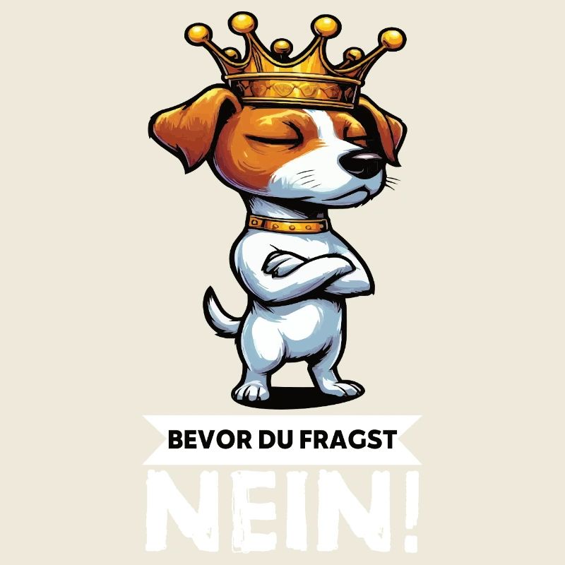 Before You Ask Jack Russel Terrier Jackie Terrier