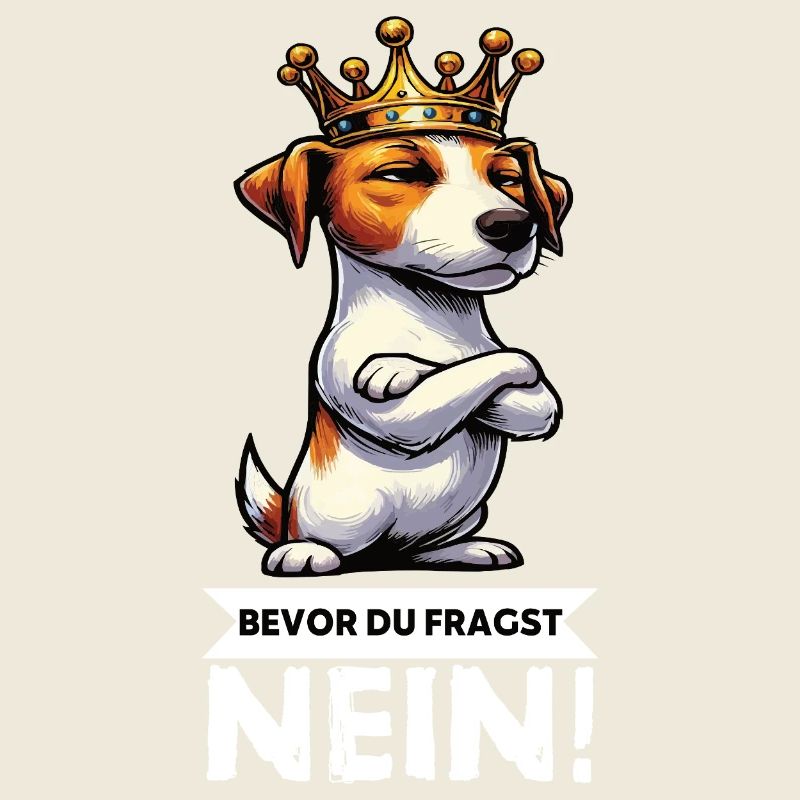 Before You Ask Jack Russel Terrier Jackie Terrier