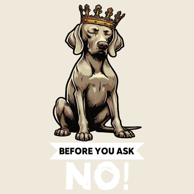 Before You Ask Weimaraner Weimaranerliebhaber 