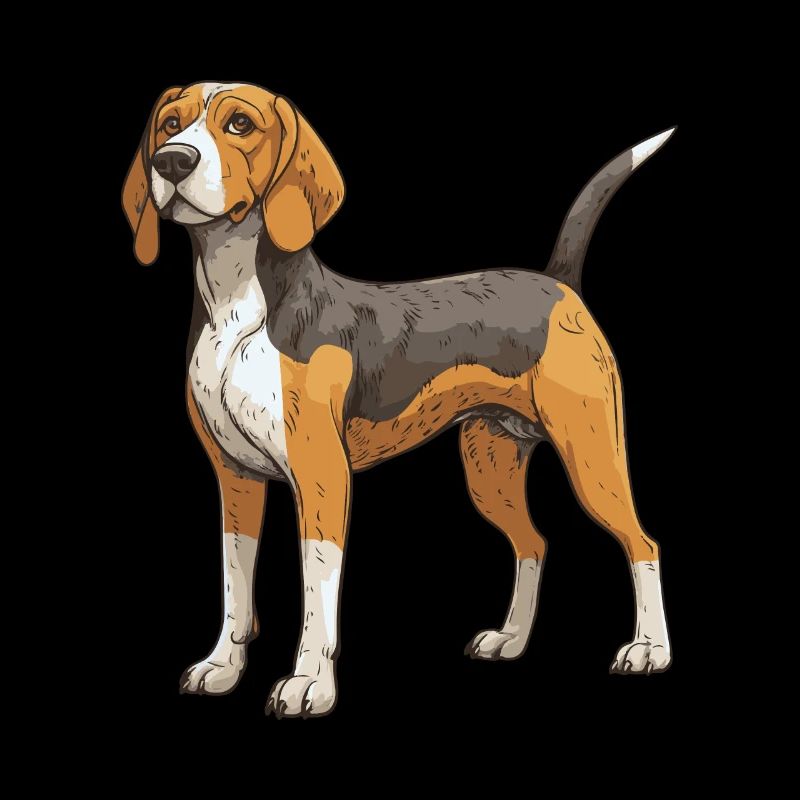 Chien Beagle