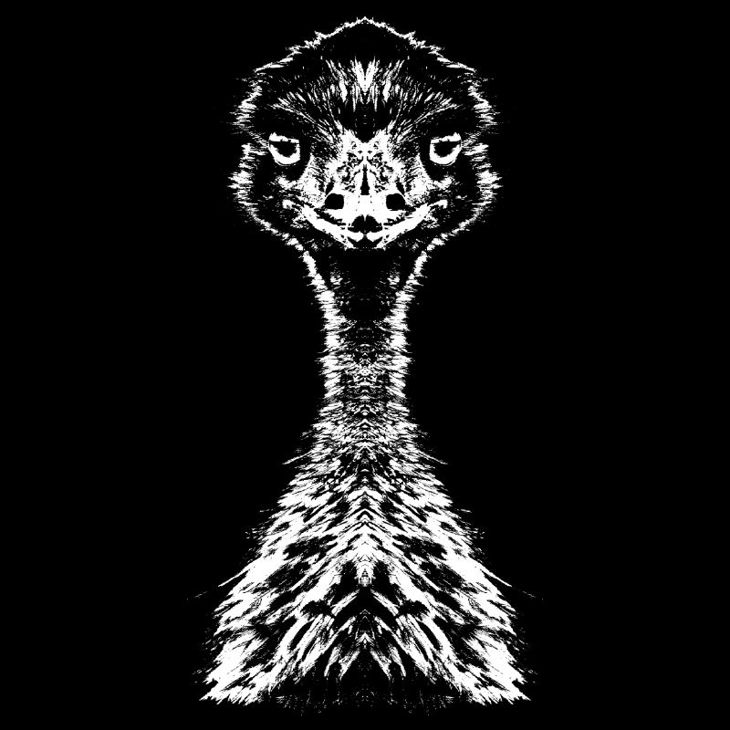 Emu / Laufvogel / Portrait