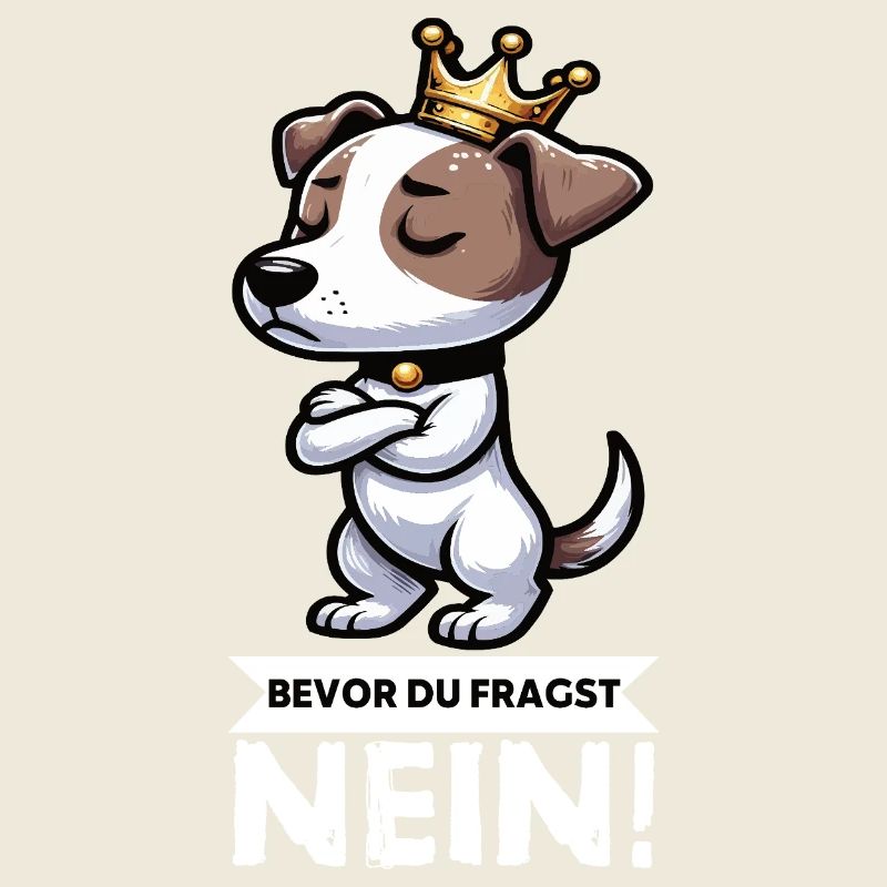 Before You Ask Jack Russel Terrier Jackie Terrier