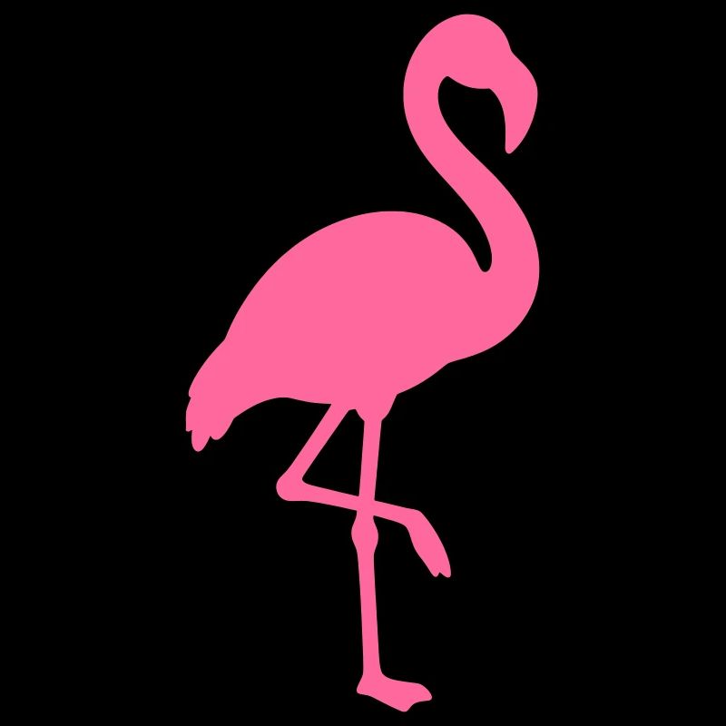 Flamingo Vektor