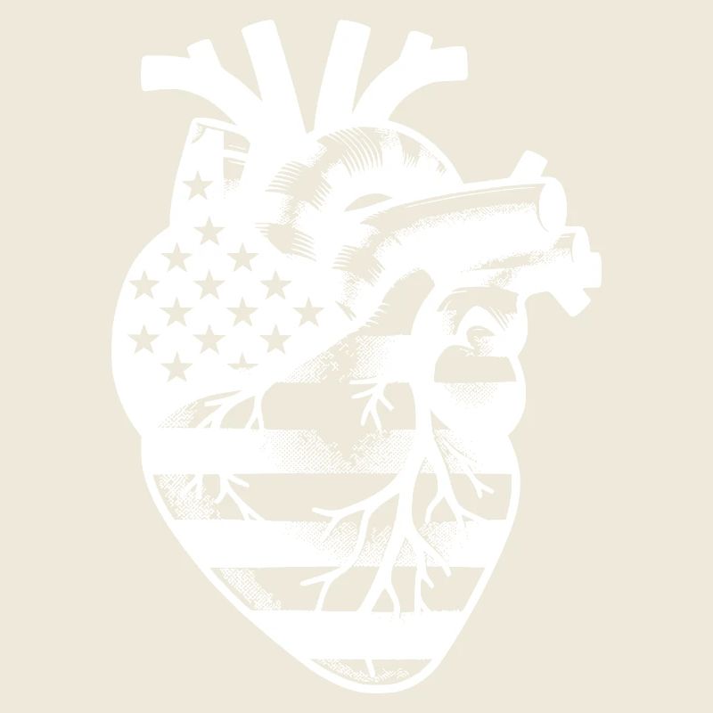 Coeur d’art anatomique avec symbolisme des drapeaux des États-Unis