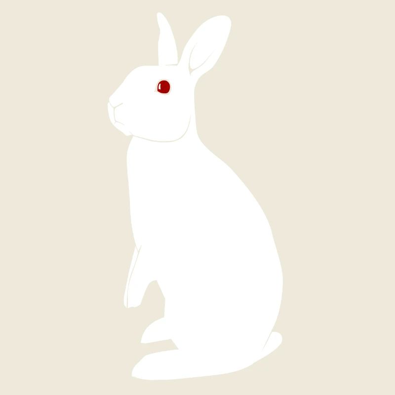Albino Rabbit