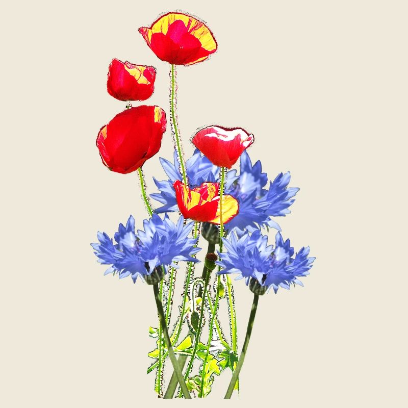 Kornblume Mohn-Collage-