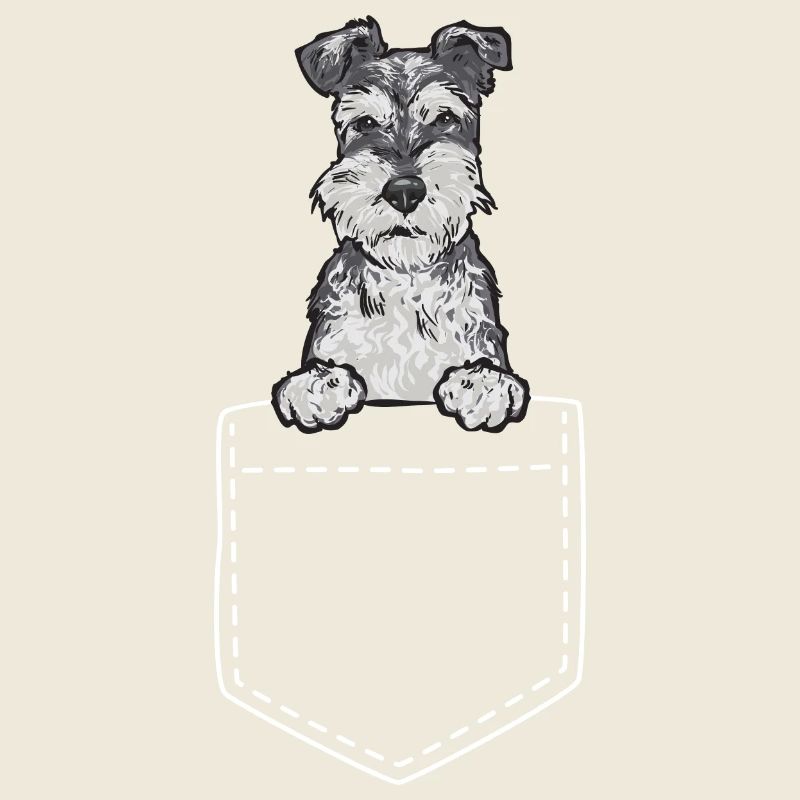 Schnauzer nain Chien Schnauzer