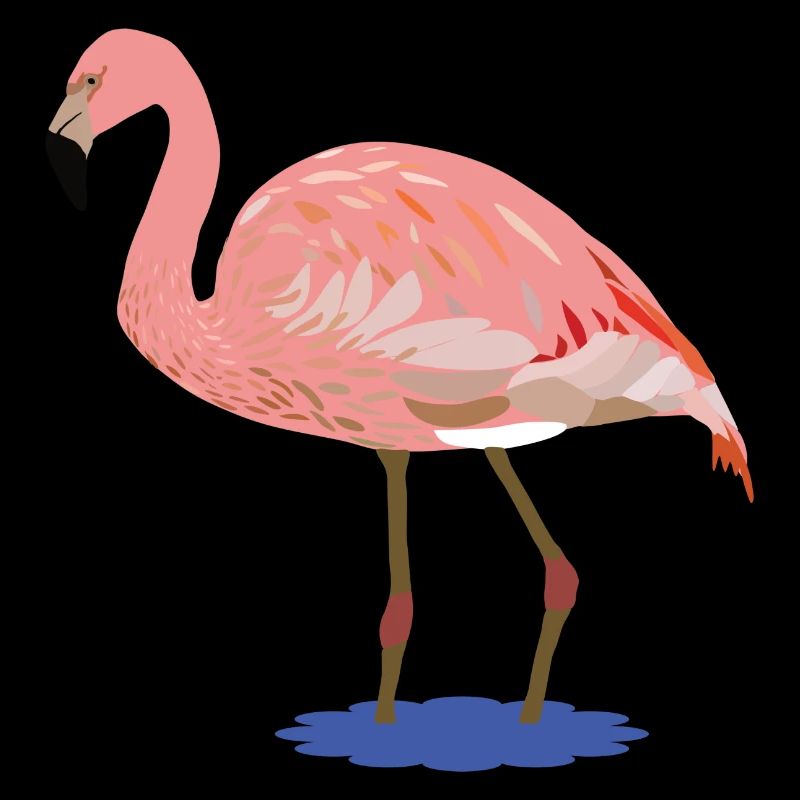 Flora Flamingo