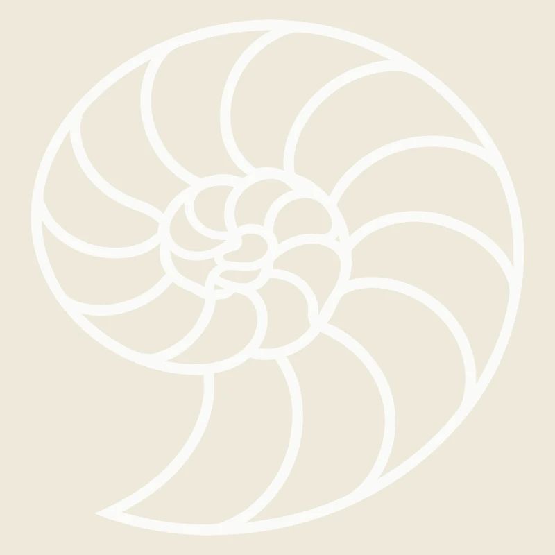 Weiße Nautilus-Spirale