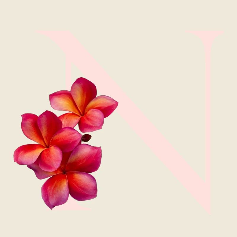 Monogramme floral N