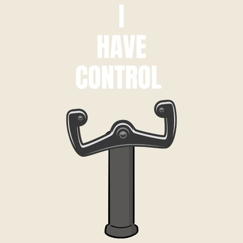 Pilot Flugzeug fliegen - I HAVE CONTROL