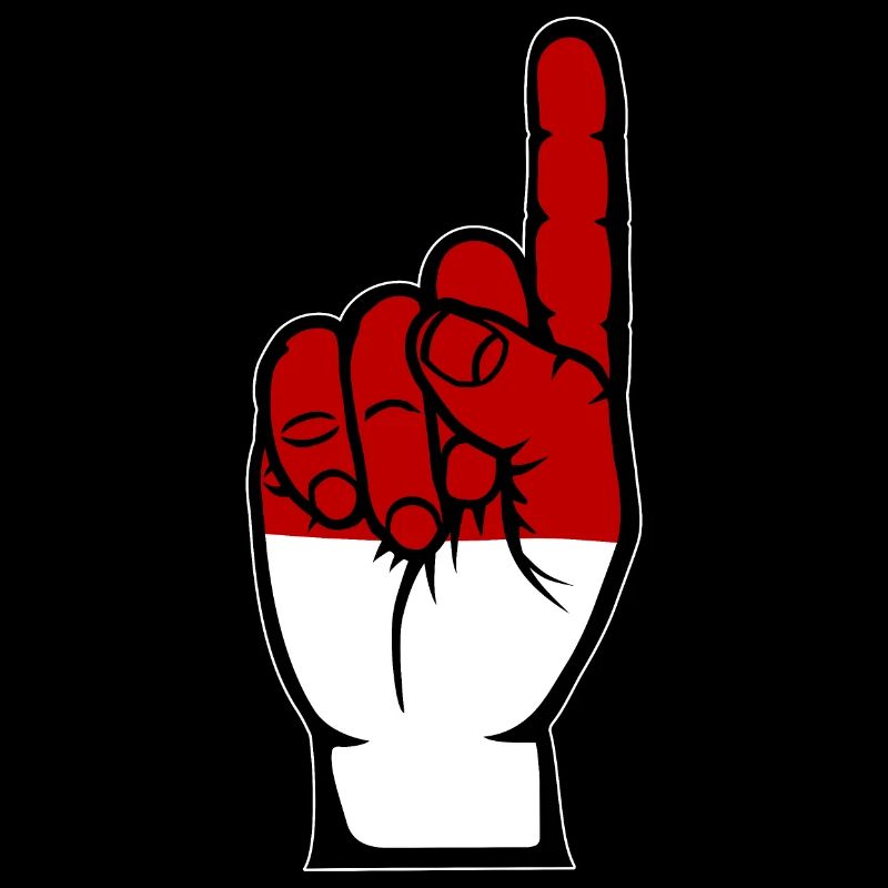 Indonesia Flag Number 1
