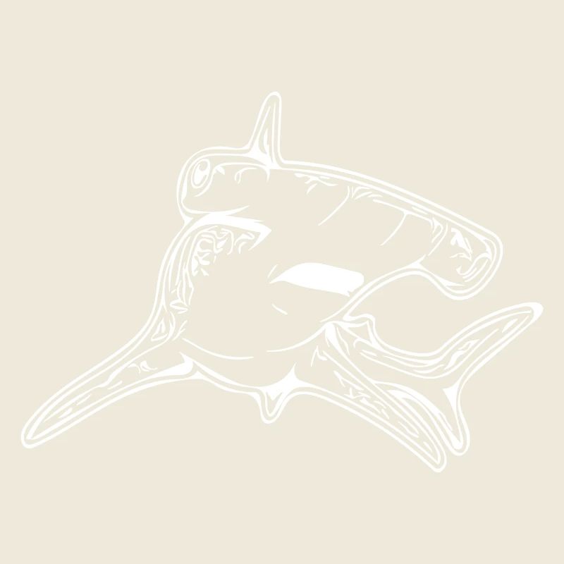 Requin-marteau élégant