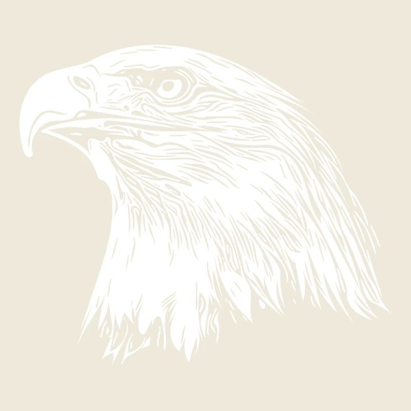 Eagle Portrait for Nature Bird Lovers