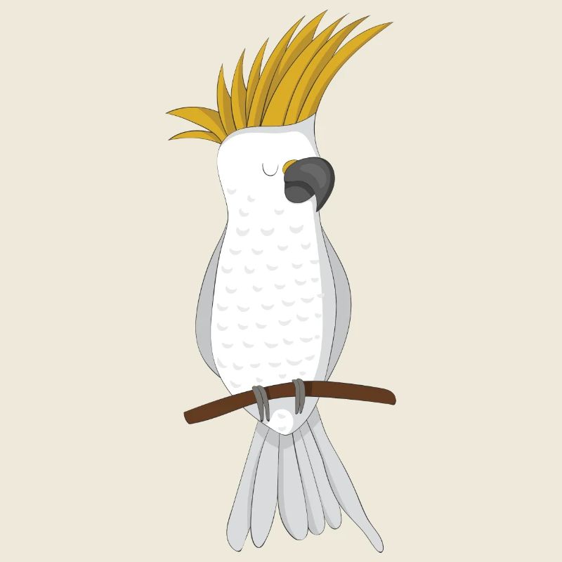 cockatoo