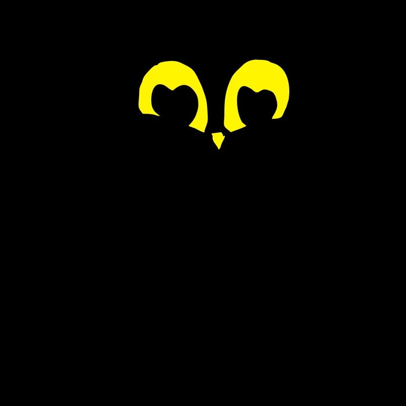 chat noir