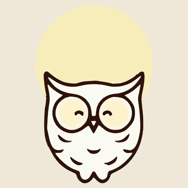 Minimalistische Eule – Schlicht & Elegant