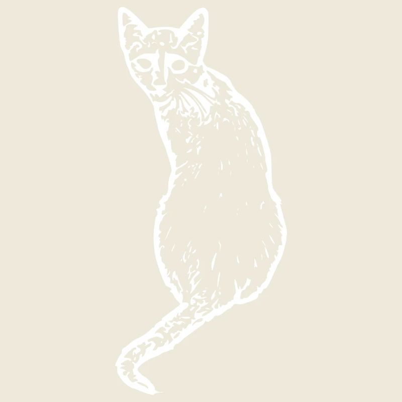 Cat White White Cats Kitten Cute