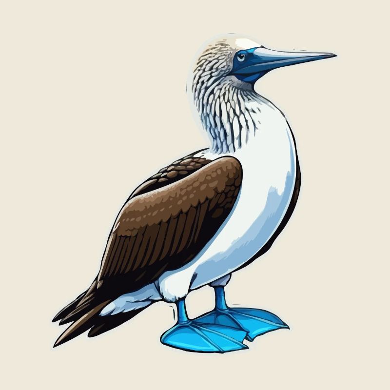 Vogel Blaufuß Tölpel Vogel Geschenk