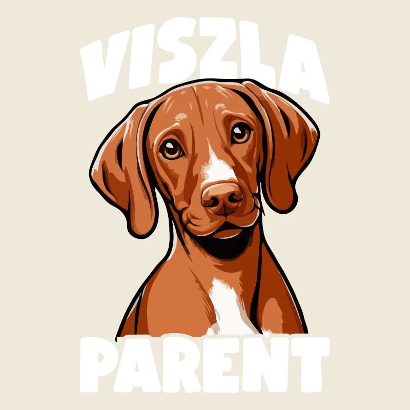 Viszla Hund Viszla Hunde