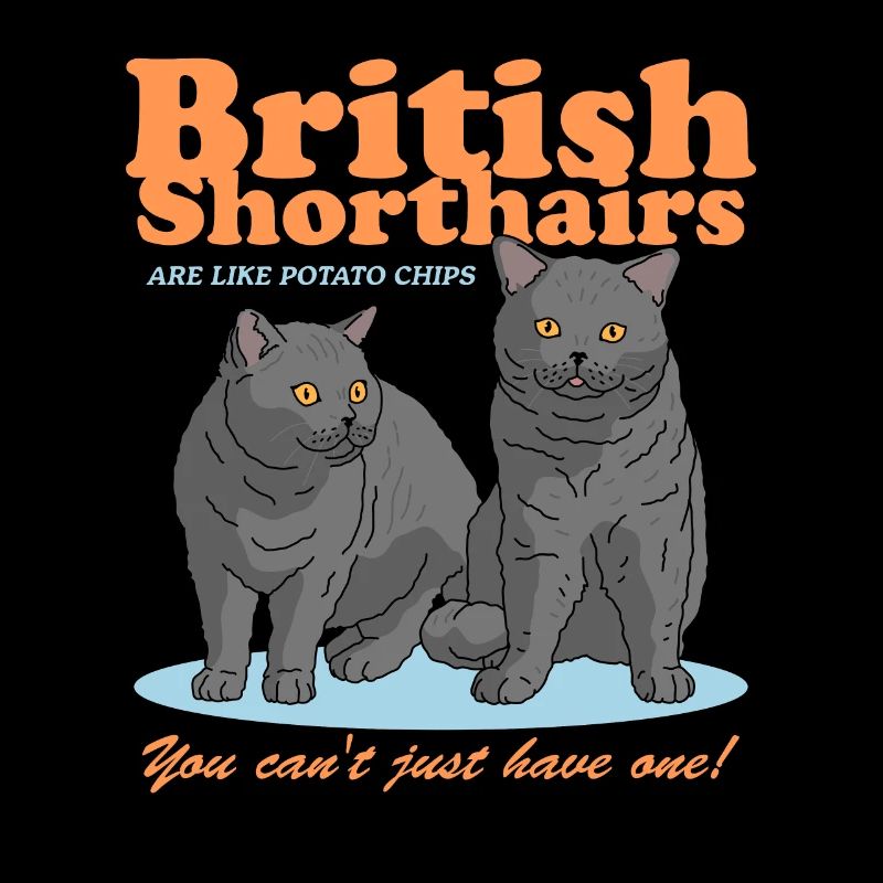 Britisch Kurzhaar Katzen Geschenk