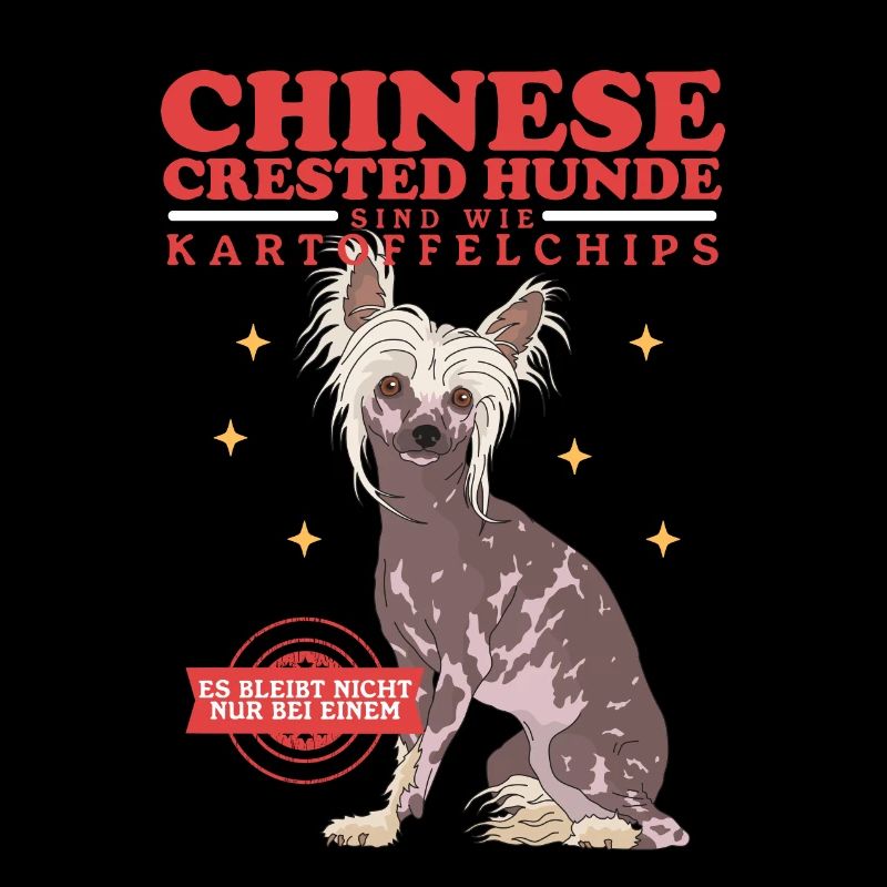 Chinesischer Schopfhund Chinese Crested Geschenk