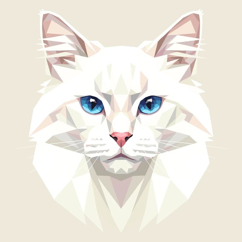Angora Cat White Angora Cat Cute Angora Cats