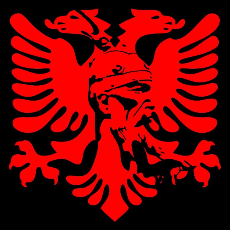 Albanian eagle with national hero Skanderbeg