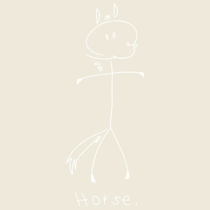 cheval. (lignes blanches) (par Leni Riosa)