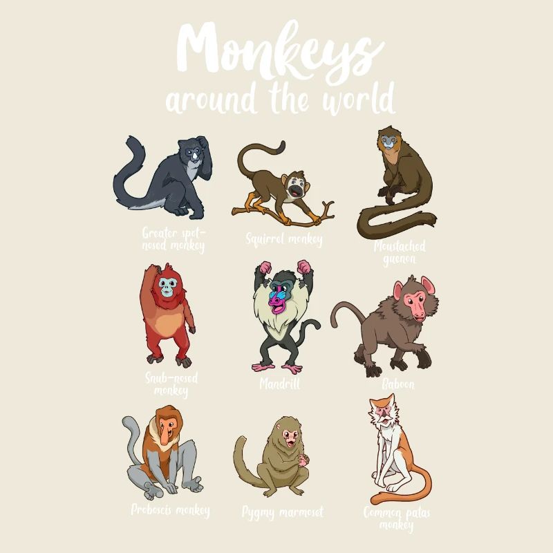 De nombreuses espèces de singes - singes du monde