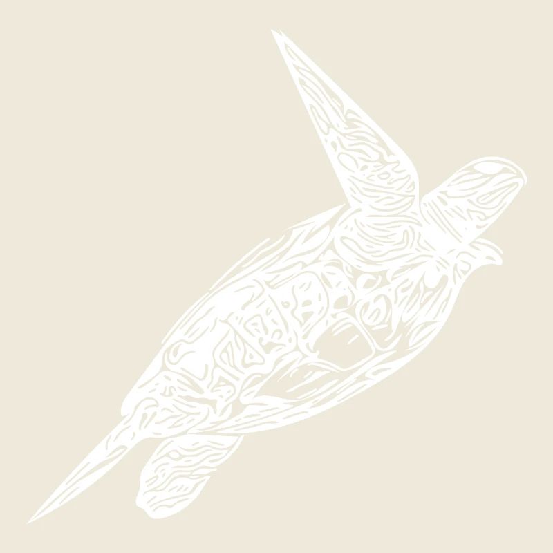 Vintage turtle on surface