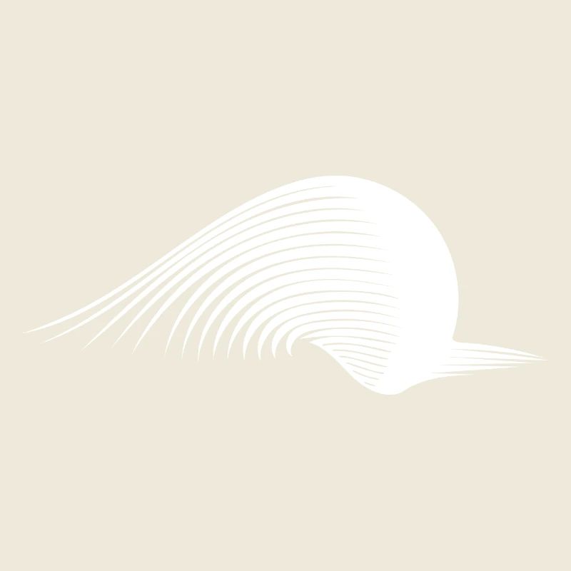 Gravitational field point in space-time mass