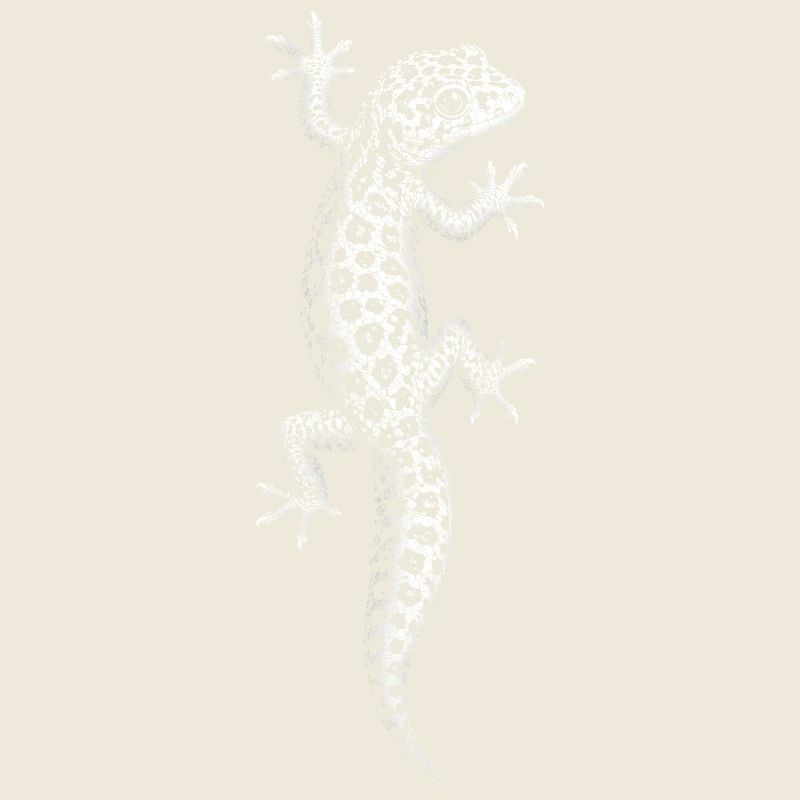 Leopardgecko