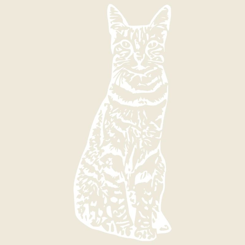 Katze Katze Kätzchen