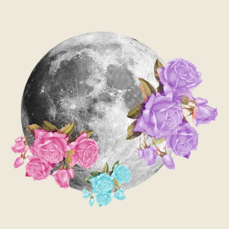 Moon Flowers Aesthetic
