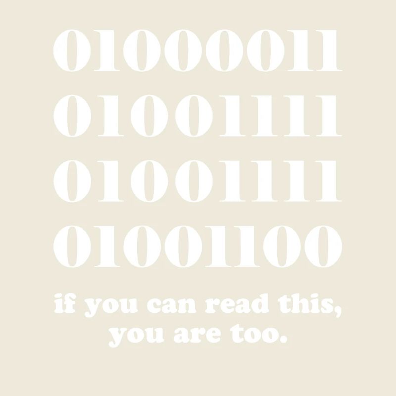 Computer binary code developers gift