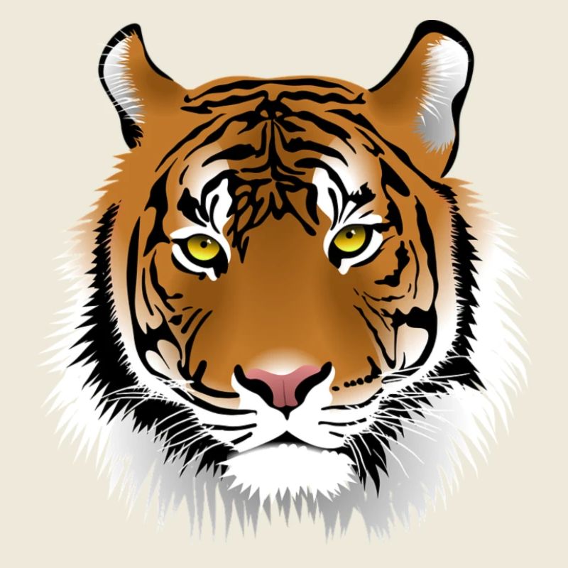 Tiger head