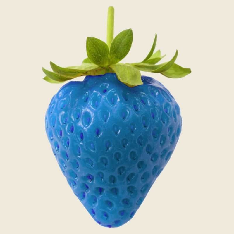 Blue Strawberry