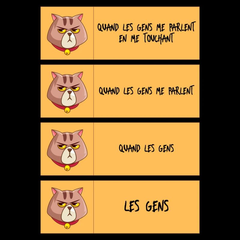 Chat grognon et limites personnelles
